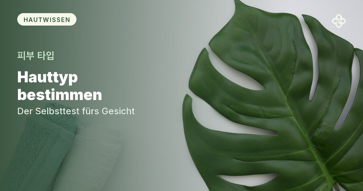 Monstera-Blatt und gerollte Handtücher auf hellem Grund, daneben der Titel Hauttyp bestimmen
