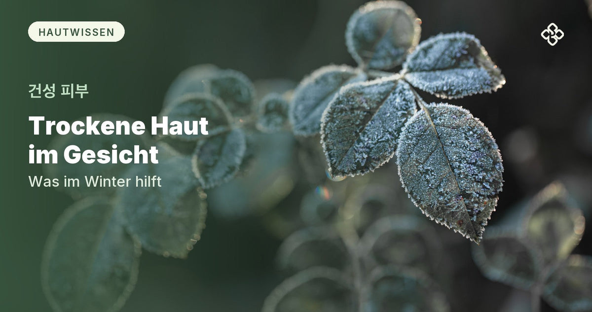 Mit Raureif überzogene Blätter im Winter, daneben der Titel Trockene Haut im Gesicht