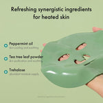 Dr. Ceuracle Expert Spirulina Cooling Modeling Mask 30 g