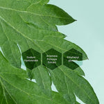 I'm From Mugwort Essence 150 ml Bild 4