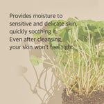 Mixsoon Centella Cleansing Foam Anwendung
