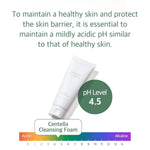 Mixsoon Centella Cleansing Foam Textur