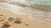 Sommerliches Video mit goldenen Sonnenstrahlen am Strand, Muscheln und warmem Sand – Sinnbild für Schutz, Pflege und sommerlichen Glow.
