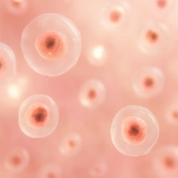 Visualisierung von Hautzellen unter Rotlicht (660 nm), weich unscharf dargestellt zur Illustration der oberflächlichen Lichtwirkung.