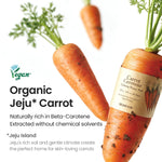Skinfood Carrot Carotene Calming Water Pad 60 Stück Karotte