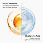 Skinfood Carrot Carotene Calming Water Pad 60 Stück Wirkstoffe